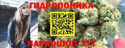скорость Будённовск